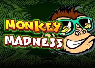 Игровой автомат Monkey Madness